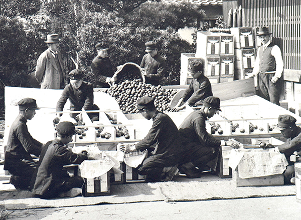 フルーツひろしま3月号,田中清兵衛のおいたち