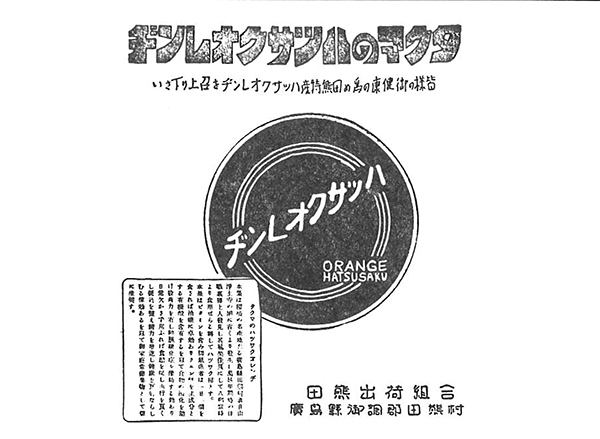 フルーツひろしま4月号,千疋屋,ハッサクオレンジ,田熊出荷組合